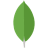 MongoDB
